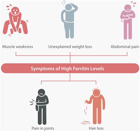 what causes ferritin levels to increase